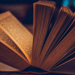 Dharma Öğretileri Koleksiyonu