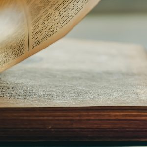 Eylül 2025 - Soylu Yol Dergisi